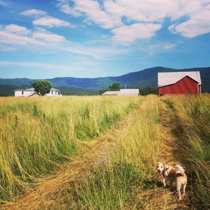 Madeline Farms Villa Luray Eksteriør bilde