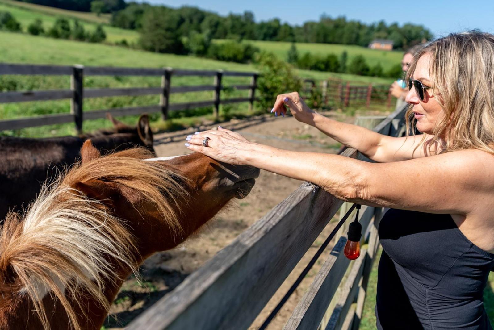 Madeline Farms Villa Luray Eksteriør bilde