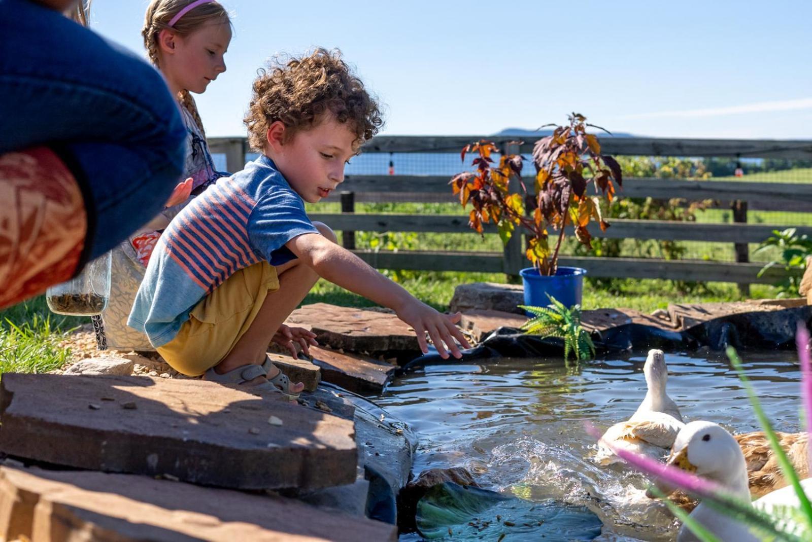 Madeline Farms Villa Luray Eksteriør bilde