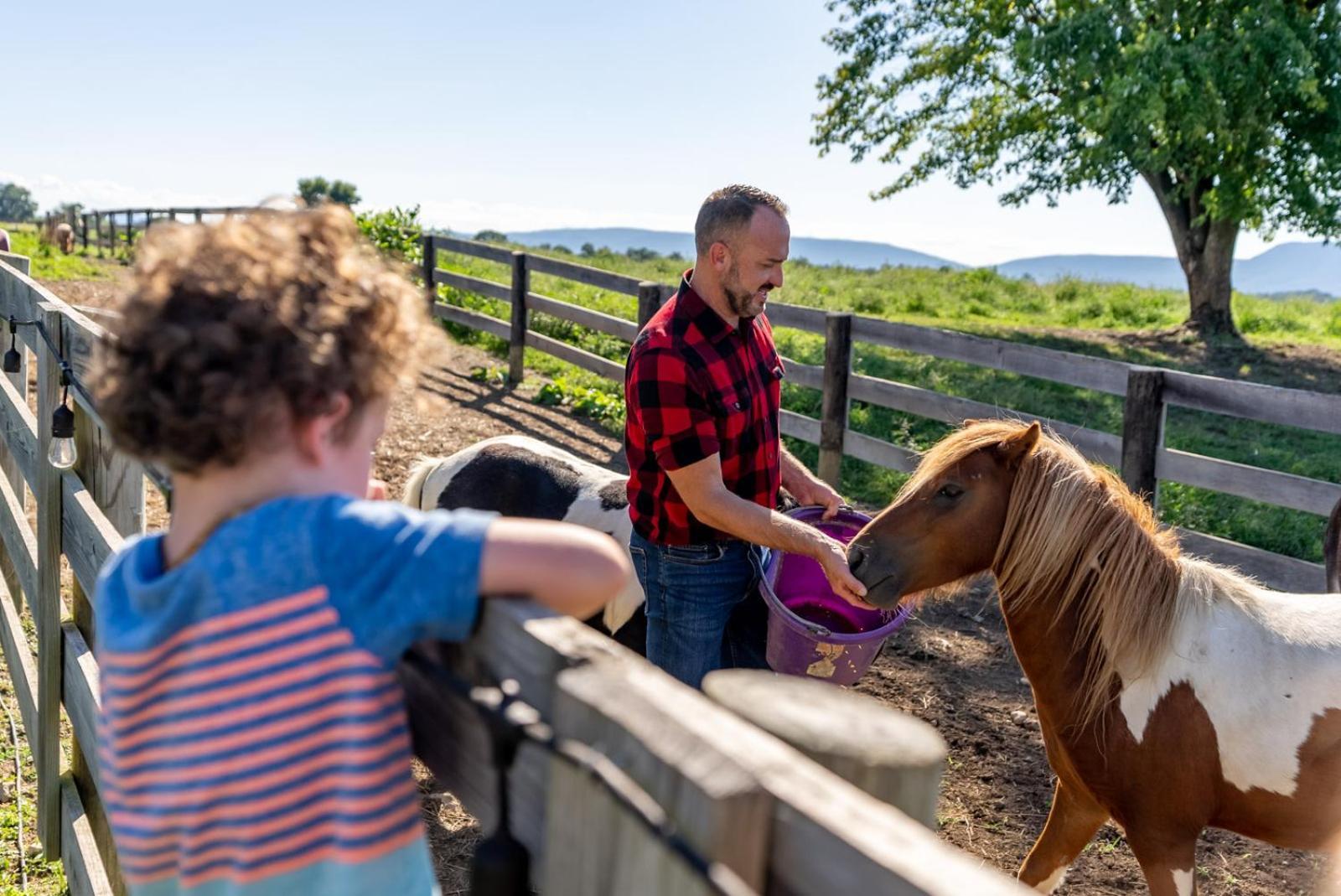 Madeline Farms Villa Luray Eksteriør bilde
